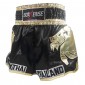 Boxsense Muay Thai  Shorts : BXS-303-Goud